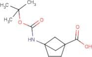 4-tert-Butoxycarbonylamino-bicyclo[2.1.1]hexane-1-carboxylic acid