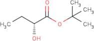 tert-Butyl-(R)-(+)-2-hydroxybutyrate
