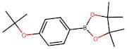 4-(tert-Butoxy)benzeneboronic acid, pinacol ester