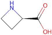 (R)-(+) Azetidine-2-carboxylic acid