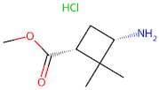 cis-Methyl 3-amino-2,2-dimethylcyclobutanecarboxylate hydrochloride