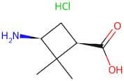 cis-3-Amino-2,2-dimethylcyclobutanecarboxylic acid hydrochloride