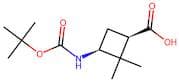 cis-3-(Boc-amino)-2,2-dimethylcyclobutanecarboxylic acid
