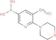 (5-Methyl-6-morpholin-4-ylpyridin-3-yl)boronic acid hydrochloride