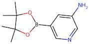 5-Aminopyridine-3-boronic acid, pinacol ester