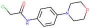2-Chloro-N-[4-(morpholin-4-yl)phenyl]acetamide