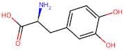 3,4-Dihydroxy-l-phenylalanine