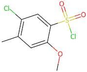 5-Chloro-2-methoxy-4-methylbenzenesulfonylchloride