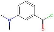 3-Dimethylaminobenzoyl chloride hydrochloride