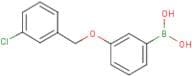 3-(3'-Chlorobenzyloxy)phenylboronic acid