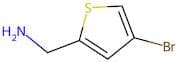 (4-Bromo-thiophen-2-yl)-methylamine
