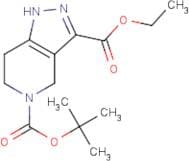 5-tert-Butyl 3-ethyl 6,7-dihydro-1H-pyrazolo[4,3-c]pyridine-3,5(4H)-dicarboxylate