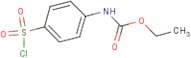 (4-Chlorosulfonyl-phenyl)-carbamic acid ethyl ester