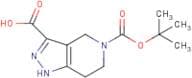 5-(tert-Butoxycarbonyl)-4,5,6,7-tetrahydro-1H-pyrazolo[4,3-c]pyridine-3-carboxylic acid