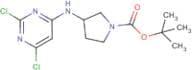 tert-Butyl 3-(2,6-dichloropyrimidin-4-ylamino)pyrrolidine-1-carboxylate