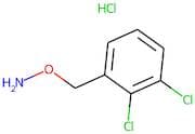 O-[(2,3-Dichlorophenyl)methyl]hydroxylamine hydrochloride