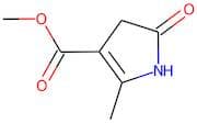 Methyl 2-methyl-5-oxo-4,5-dihydro-1H-pyrrole-3-carboxylate