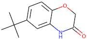6-tert-Butyl-3,4-dihydro-2H-1,4-benzoxazin-3-one