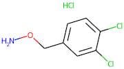 O-[(3,4-Dichlorophenyl)methyl]hydroxylamine hydrochloride