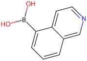 Isoquinoline-5-boronic acid