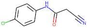 N-(4-Chlorophenyl)-2-cyanoacetamide
