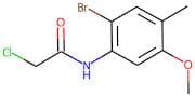 N-(2-Bromo-5-methoxy-4-methylphenyl)-2-chloroacetamide