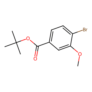 tert-Butyl 4-bromo-3-methoxybenzoate