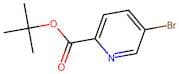 tert-Butyl 5-bromopyridine-2-carboxylate