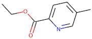 Ethyl 5-methylpyridine-2-carboxylate
