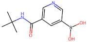 5-(tert-Butylcarbamoyl)pyridine-3-boronic acid