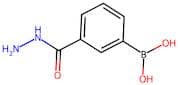 3-(Hydrazinecarbonyl)benzeneboronic acid