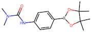 4-[(Dimethylcarbamoyl)amino]benzeneboronic acid, pinacol ester