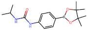 4-[(Isopropylcarbamoyl)amino]benzeneboronic acid, pinacol ester
