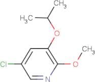 5-Chloro-3-isopropoxy-2-methoxypyridine