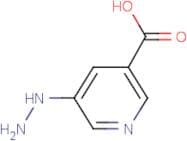 5-Hydrazinyl pyridine-3-carboxylic acid