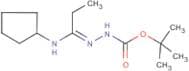N'-[1-Cyclopentylaminopropylidene]hydrazinecarboxylic acid tert-butyl ester