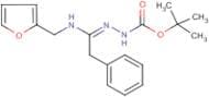 N'-[1-[(Furan-2-ylmethyl)amino]2-phenylethylidene]hydrazinecarboxylic acid tert-butyl ester