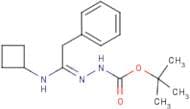 N'-[1-Cyclobutylamino-2-phenylethylidene]hydrazinecarboxylic acid tert-butyl ester