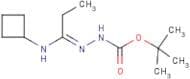 N'-[1-Cyclobutylaminopropylidene]hydrazinecarboxylic acid tert-butyl ester
