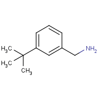 3-tert-Butyl-benzylamine hydrochloride