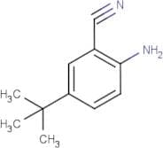 2-Amino-5-tert-butyl-benzonitrile