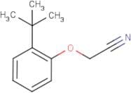(2-tert-Butylphenoxy)acetonitrile