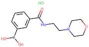 3-[(2-Morpholin-4-ylethyl)carbamoyl]benzeneboronic acid hydrochloride