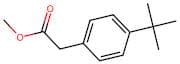Methyl 4-tert-Butylphenylacetate