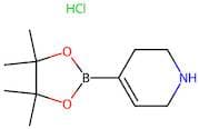 4-(4,4,5,5-Tetramethyl-1,3,2-dioxaborolan-2-yl)-1,2,3,6-tetrahydropyridine hydrochloride
