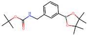 [3-(4,4,5,5-Tetramethyl-1,3,2-dioxaborolan-2-yl)-benzyl]-carbamic acid tert-butyl ester