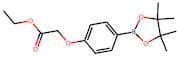 4-(2-Ethoxy-2-oxoethoxy)phenylboronic acid, pinacol ester