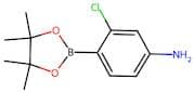 4-Amino-2-chlorophenylboronic acid, pinacol ester