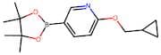 2-(Cyclopropylmethoxy)pyridine-5-boronic acid, pinacol ester