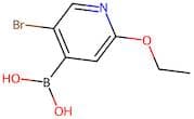 5-Bromo-2-ethoxypyridine-4-boronic acid